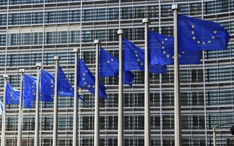 La UE financia la lucha contra plagas vegetales en España